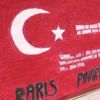 Pervari den Barış Pınarı Harekatı na destek Pervari den Barış Pınarı Harekatı na destek