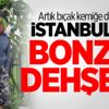 İstanbul'da bonzai dehşeti! İstanbul'da bonzai dehşeti!
