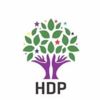 HDP MYK belli oldu HDP MYK belli oldu