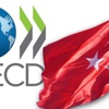 OECD'den Türkiye'ye bölgesel kriz uyarısı