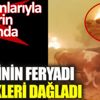 Hayvanlarıyla alevlerin ortasında kaldı. Çiftçinin feryadı yürekleri dağladı Hayvanlarıyla alevlerin ortasında kaldı. Çiftçinin feryadı yürekleri dağladı