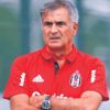 Şenol Güneş’e yardımcı aranıyor