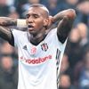 Kartal duvara tosladı