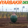 Diyarbakır'a karpuz içinde çocuk heykeli dikildi Diyarbakır'a karpuz içinde çocuk heykeli dikildi