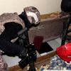 DEAŞ operasyonlarında gözaltı sayısı 143 oldu
