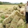 İhanete uğrayan çiftçinin balyalarını jandarma kurtardı İhanete uğrayan çiftçinin balyalarını jandarma kurtardı