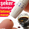 Borsa rekor tazeledi