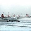Türk Hava Yollarının Kaç Seferi İptal Oldu?