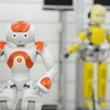 Çocuk robot iCub'a kardeş geldi Çocuk robot iCub'a kardeş geldi