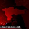 Türkiye nin kadın istatistikleri (2) Türkiye nin kadın istatistikleri (2)