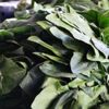 Ispanak zehirlenmelerine ilişkin açıklama yapıldı Ispanak zehirlenmelerine ilişkin açıklama yapıldı