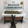 Jandarmadan lüks yata uyuşturucu operasyonu Jandarmadan lüks yata uyuşturucu operasyonu