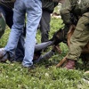 Köpekli İşkenceye Soruşturma Açıldı Köpekli İşkenceye Soruşturma Açıldı