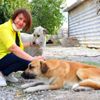 Sokak hayvanları için hafta sonları Denizli den, Manisa ... Sokak hayvanları için hafta sonları Denizli den, Manisa ...