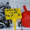 Yerli hamsi tezgâhlarda 7,5 TL Yerli hamsi tezgâhlarda 7,5 TL