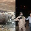 Siirt'te 135 kişinin etkilendiği sızıntı ilgili gözaltına alınan 3 kişi tutuklandı