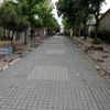 Rami de yaya ve araç trafiği düzenlemesi Rami de yaya ve araç trafiği düzenlemesi