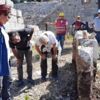 Patara kazılarında heyecanlandıran yazıt Patara kazılarında heyecanlandıran yazıt