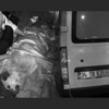 İstanbul Büyükşehir Belediyesi'ne köpek zehirlerken suçüstü İstanbul Büyükşehir Belediyesi'ne köpek zehirlerken suçüstü