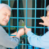 Paralel hakimler medyatik koğuşta Paralel hakimler medyatik koğuşta