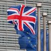 AB, Brexit ertelemesi için gerekçe istiyor