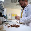 Fındık atıklarından kemoterapi ilacı etken maddesi Fındık atıklarından kemoterapi ilacı etken maddesi
