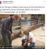 Hipnotize olan tavuk baştan çıktı Hipnotize olan tavuk baştan çıktı