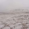 Karadeniz'de yaylalar beyaza büründü Karadeniz'de yaylalar beyaza büründü