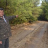 RES için bin ağaç mı kesilecek? RES için bin ağaç mı kesilecek?