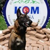 Narkotik köpeği 300 bin Euro'luk eroin yakaladı! Narkotik köpeği 300 bin Euro'luk eroin yakaladı!