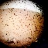 InSight Mars'tan selfie gönderdi (Mars'tan inanılmaz fotoğraflar) InSight Mars'tan selfie gönderdi (Mars'tan inanılmaz fotoğraflar)
