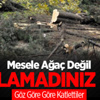 CHP'li Belediye 180 Ağacı Katletti CHP'li Belediye 180 Ağacı Katletti