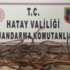 Trafoyu söküp bakır kablo çaldı Trafoyu söküp bakır kablo çaldı