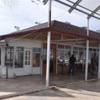 Ormanlık alanda ölü bulundu