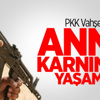 İşte Colman'ın Yeni Takımı! İşte Colman'ın Yeni Takımı!