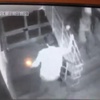 Apartmanda vahşet Apartmanda vahşet