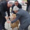 Ensar Öğüt Meclis’e koç getirdi Ensar Öğüt Meclis’e koç getirdi