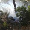 Antalya'da orman yangını! 1 saatte kontrol altına alındı