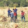 Sedanur seferberliği