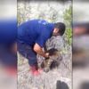 ﻿Kuyuya düşen geyiği itfaiye kurtardı