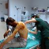 Ayının saldırdığı çobanın yardımına Mehmetçik helikopterle ... Ayının saldırdığı çobanın yardımına Mehmetçik helikopterle ...