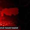 Ege de pamuk hasadı başladı Ege de pamuk hasadı başladı