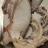 Kalamar pişirecekti! İçinden çıkanı gördüğünde hayatının şokunu yaşadı Kalamar pişirecekti! İçinden çıkanı gördüğünde hayatının şokunu yaşadı