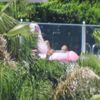 Sıla 3 saat flamingoda yattı Sıla 3 saat flamingoda yattı