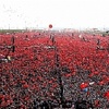 Zika bebeklerde eklem rahatsızlıklarına neden olabiliyor