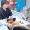 İmdadına terapi köpekleri yetişti İmdadına terapi köpekleri yetişti