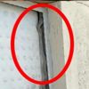 Yılan kapıyı sardı! Görenler dondu kaldı Yılan kapıyı sardı! Görenler dondu kaldı