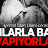 Manchester United'a Bir Darbe Daha!