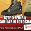 İşte o zehirli ayakkabıların fotoğrafları