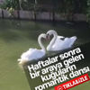Ağrı'da teröristlere hava harekatı Ağrı'da teröristlere hava harekatı